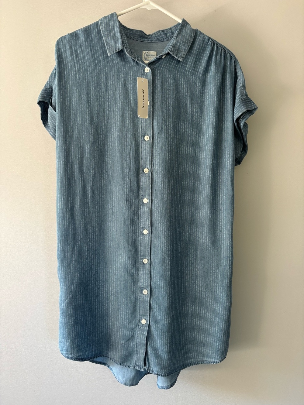Francesca’s Button-Front Blue Shirt Dress